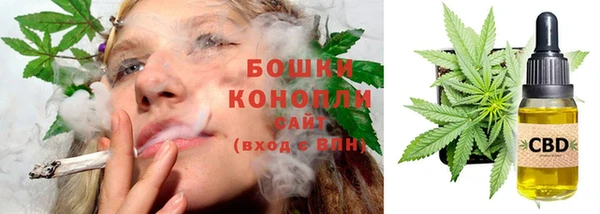 ПСИЛОЦИБИНОВЫЕ ГРИБЫ Семилуки