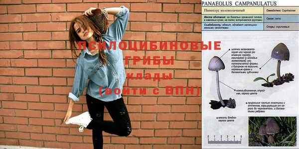 кокаин колумбия Армянск