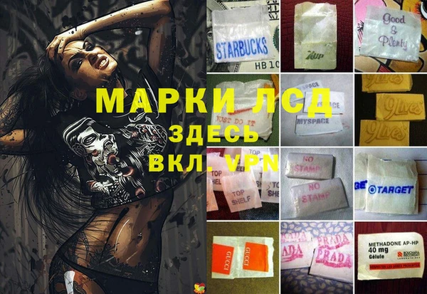 ПСИЛОЦИБИНОВЫЕ ГРИБЫ Семилуки