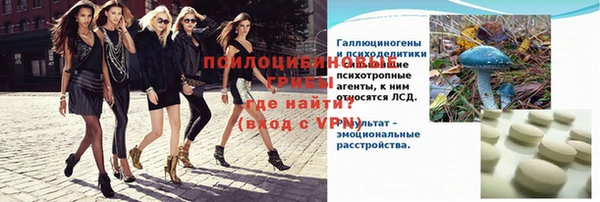 твердый Аркадак